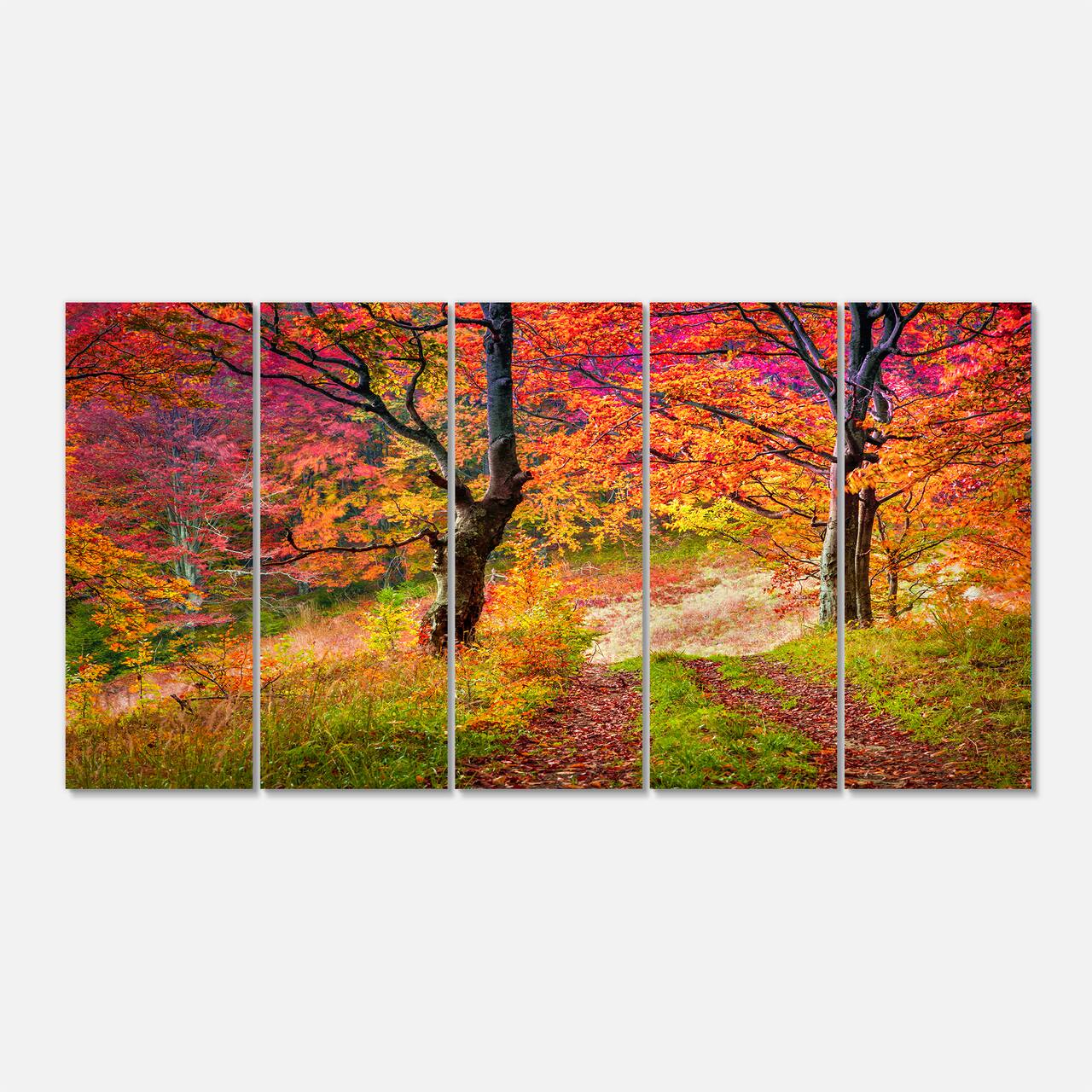 Designart - Bright Colorful Fall Trees in Forest - Large Landscape Canvas Art Print
